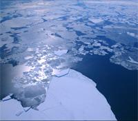 Flight over Icebergs