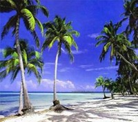 Ambergris Caye