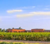 Finca