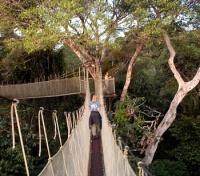 Canopy Walkway