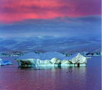 Paulet Island Paulet Island