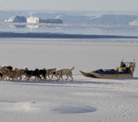 Dogsledding