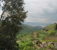 Landscape in the Golan Landscape in the Golan