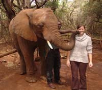 Knysna Elephant Park