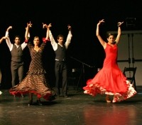Flamenco