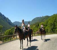 Horse Riding Horse Riding