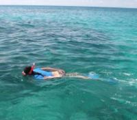Snorkelling