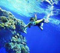 Snorkeling