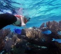 Snorkeling