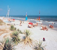 Hilton Head Beach
