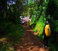 Arriving at Mweka Arriving at Mweka