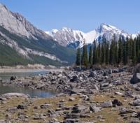 Jasper National Park 