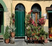 Lucca Lucca