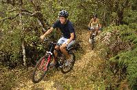 Biking on Santa Cruz Island