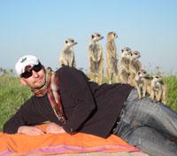 Meerkats