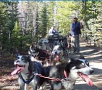 Dogsledding Tour