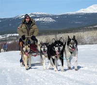 Dawson Trail Dogsledding