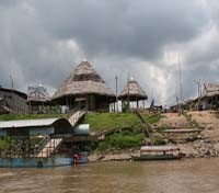 Nauta