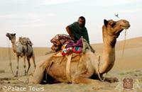 Camel Ride