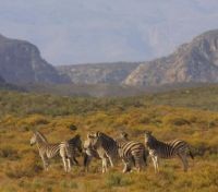 Wildlife Reserve Wildlife Reserve