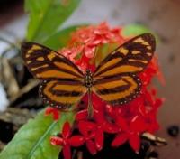 Santa Elena Reserve Tour
