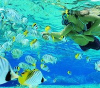 Snorkeling
