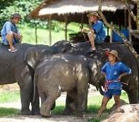 TECC - Mahouts and Elephants TECC - Mahouts and Elephants