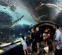 Adventure Aquarium