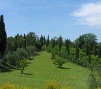 Sample of villa garden