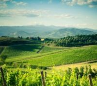 Chianti Wine Region