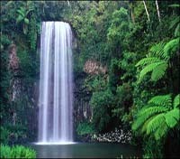 Atherton Tablelands Atherton Tablelands