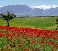 Azrou, Morocco