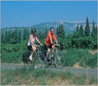 Biking along the Cotes de Rhone vineyards