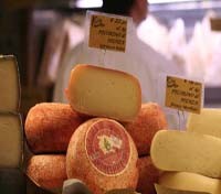 Cheese selection Cheese selection