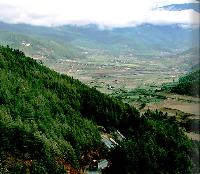 Tang Valley
