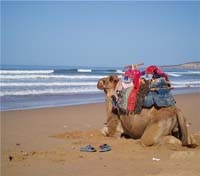 Essaouira