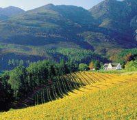 Winelands