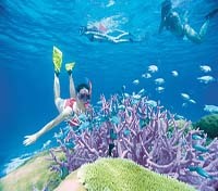 Port Douglas: Outer Reef 