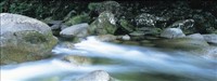 Daintree National Park