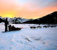 Dogsledding Sunset