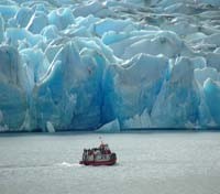 Grey Glacier 