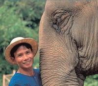 Mahout Elephant Trainer Mahout Elephant Trainer