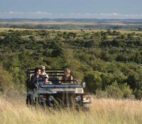 Game Drive