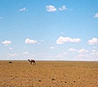 Gobi Desert