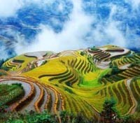 Longsheng Longsheng