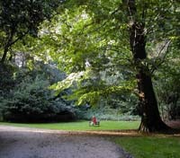 Hampstead Heath
