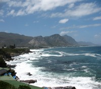 Hermanus Hermanus