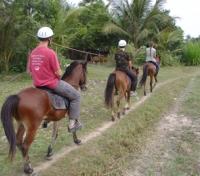Horse Riding