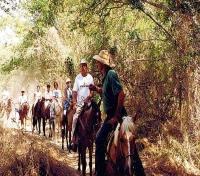 Horseback Riding Horseback Riding