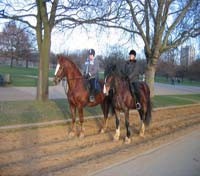 Horse riding in Hyde Park 